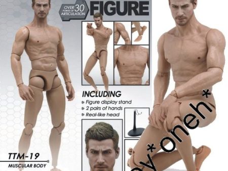 1:6 HOT TOYS TTM19 TTM 19 TRUETYPE BODY (MUSCULAR BODY) (PIU275) b28735068 Cheap