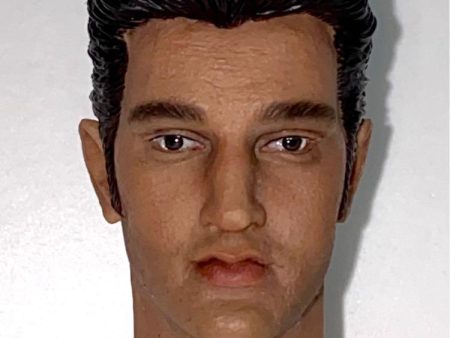 頭玩 1 6 TOY HEAD PLAY HP0039 CUSTOM MADE HEAD SCULPT 頭雕 貓王 皮禮士利 ELVIS PRESLEY THE KING OF ROCK AND ROLL PIU176 Supply